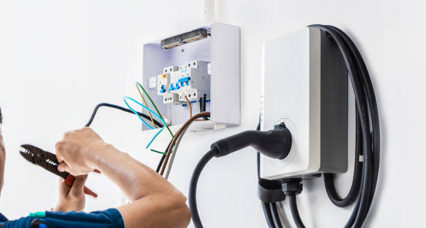 Best Electric Panel Repair  in Primera, TX
